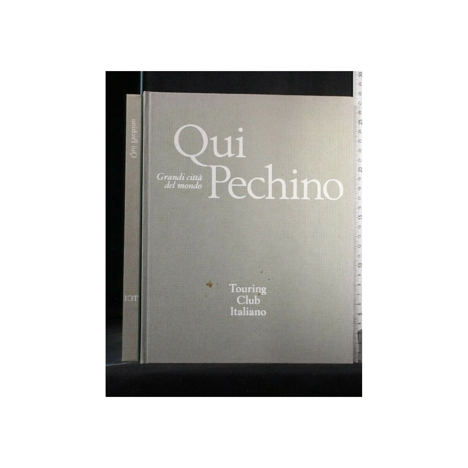 GRANDI CITTA' DEL MONDO QUI PECHINO