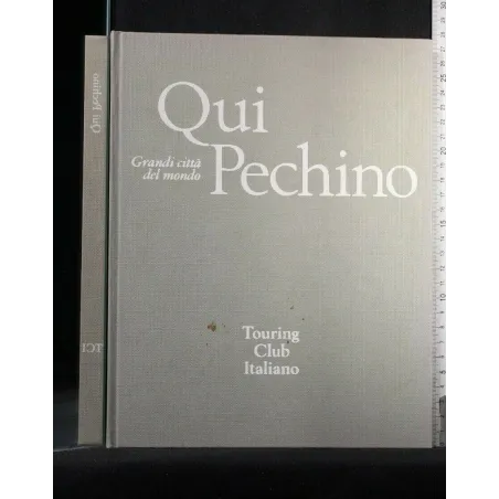 GRANDI CITTA' DEL MONDO QUI PECHINO