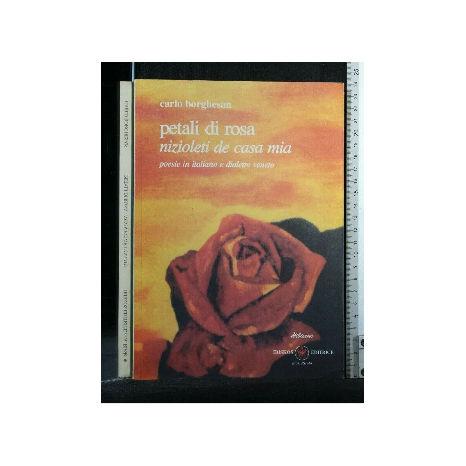 PETALI DI ROSA NIZIOLETI DE CASA MIA