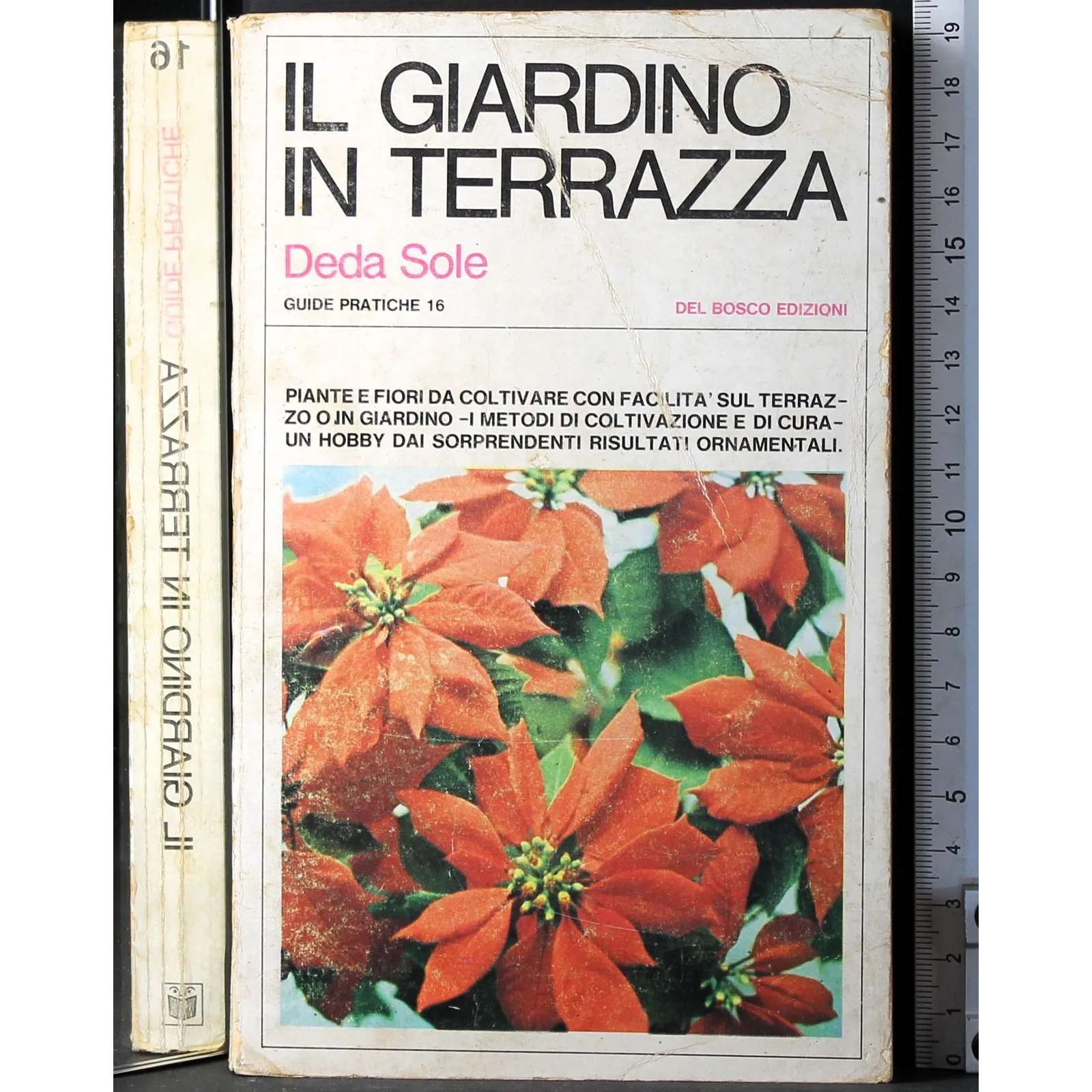 Il giardino in terrazza