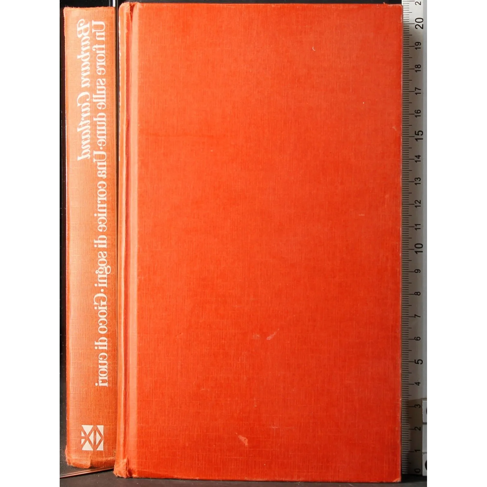 Un fiore sulle dune. Una cornice di sogni. Gioco di cuori