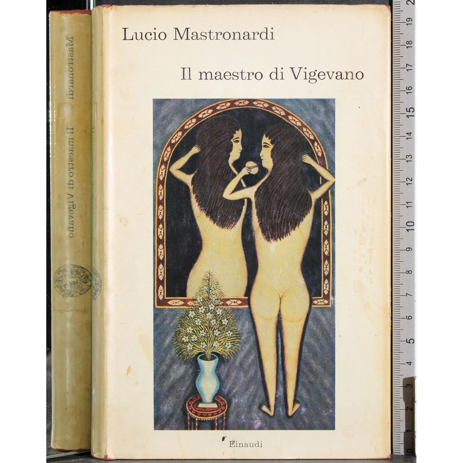 Il maestro di Vigevano