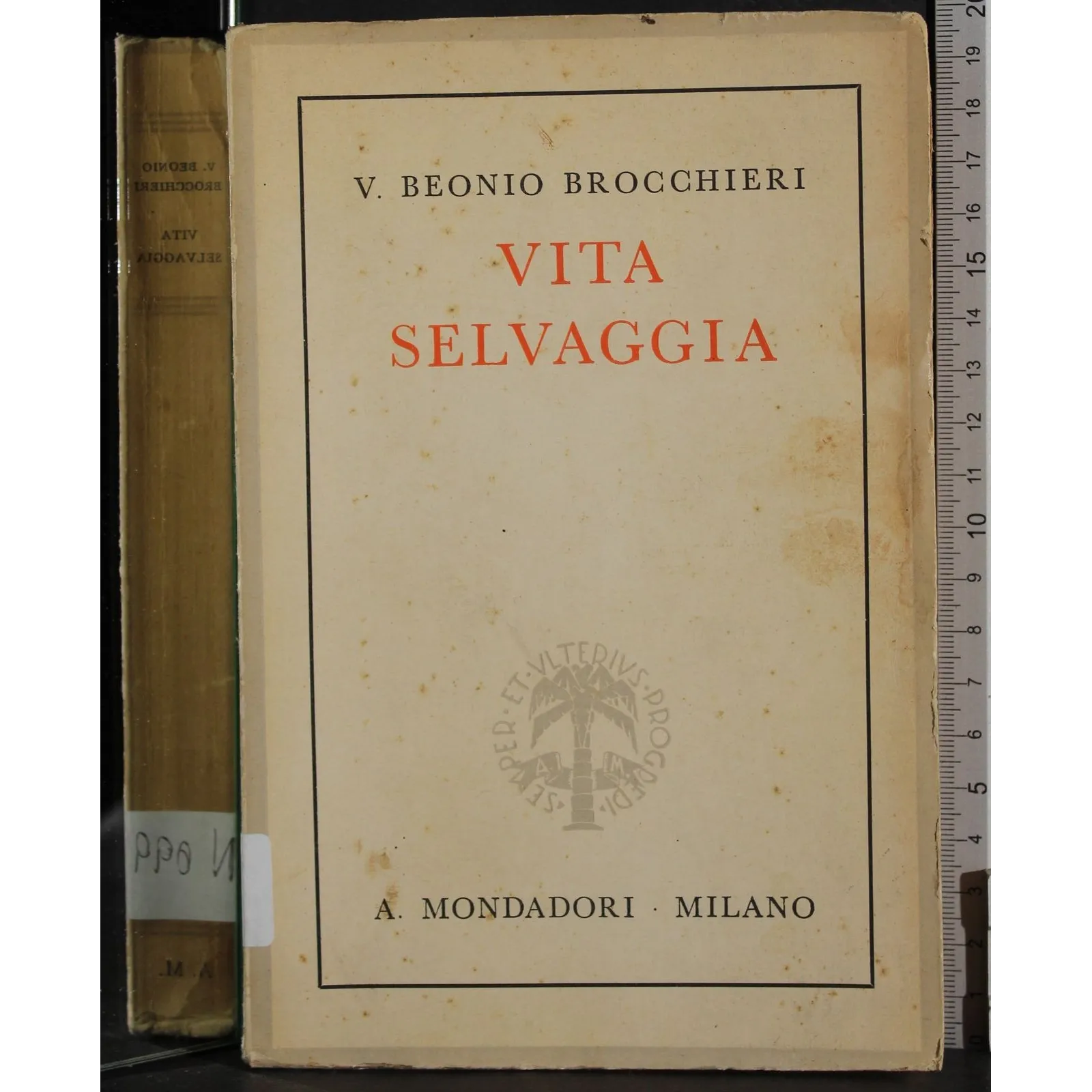 Vita selvaggia