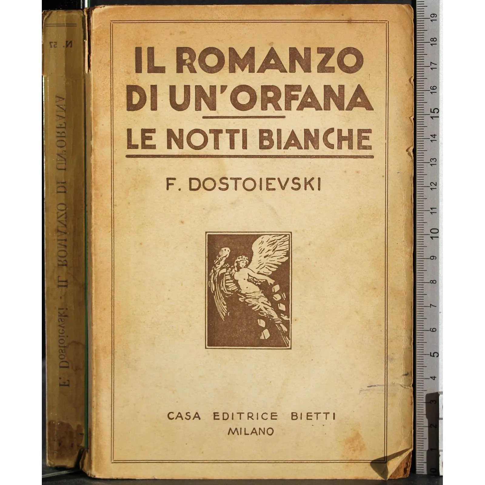 Il romanzo di un'orfano. Le notti bianche
