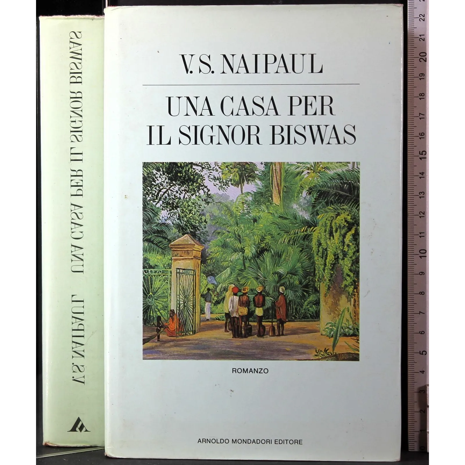 Una casa per il signor biswas