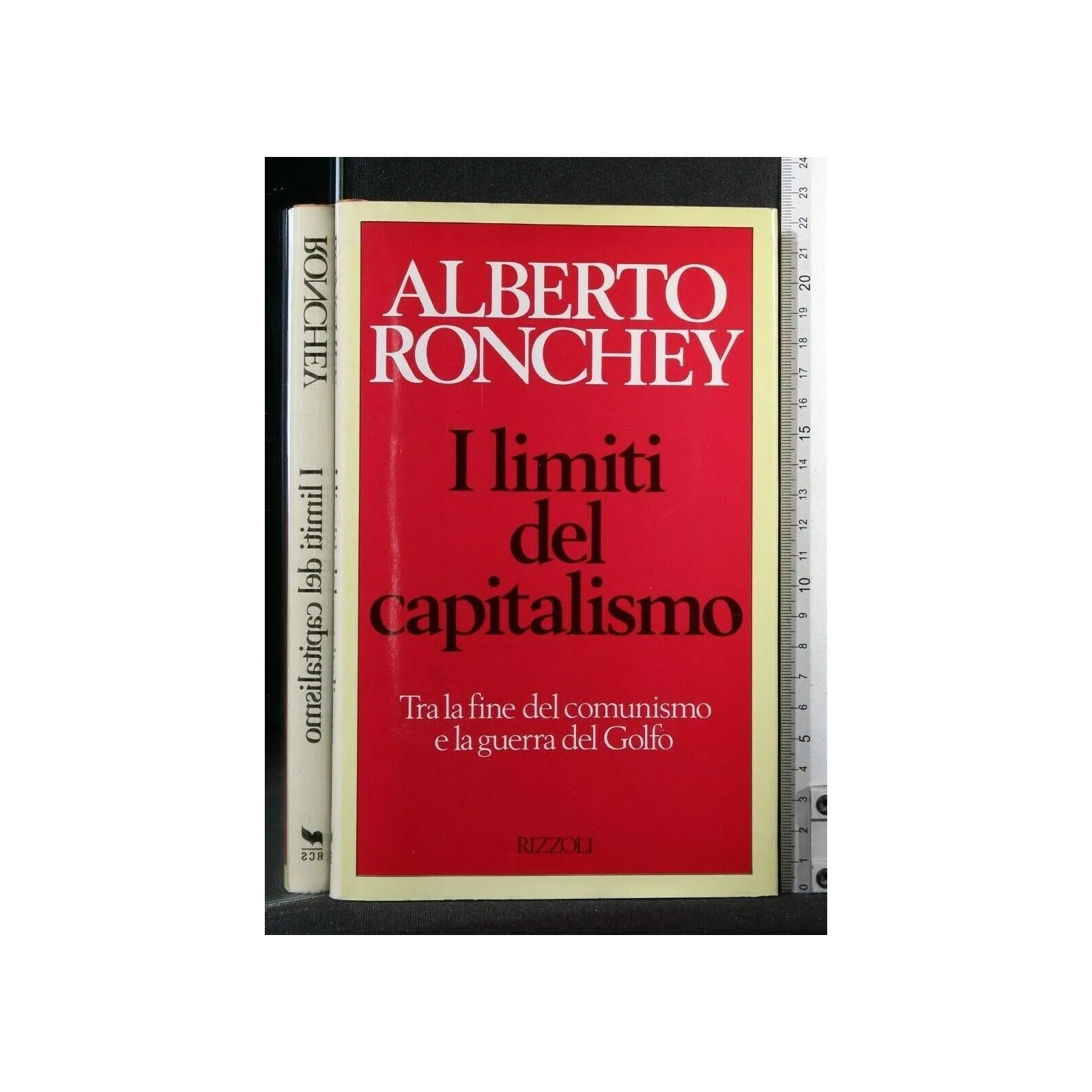 I LIMITI DEL CAPITALISMO