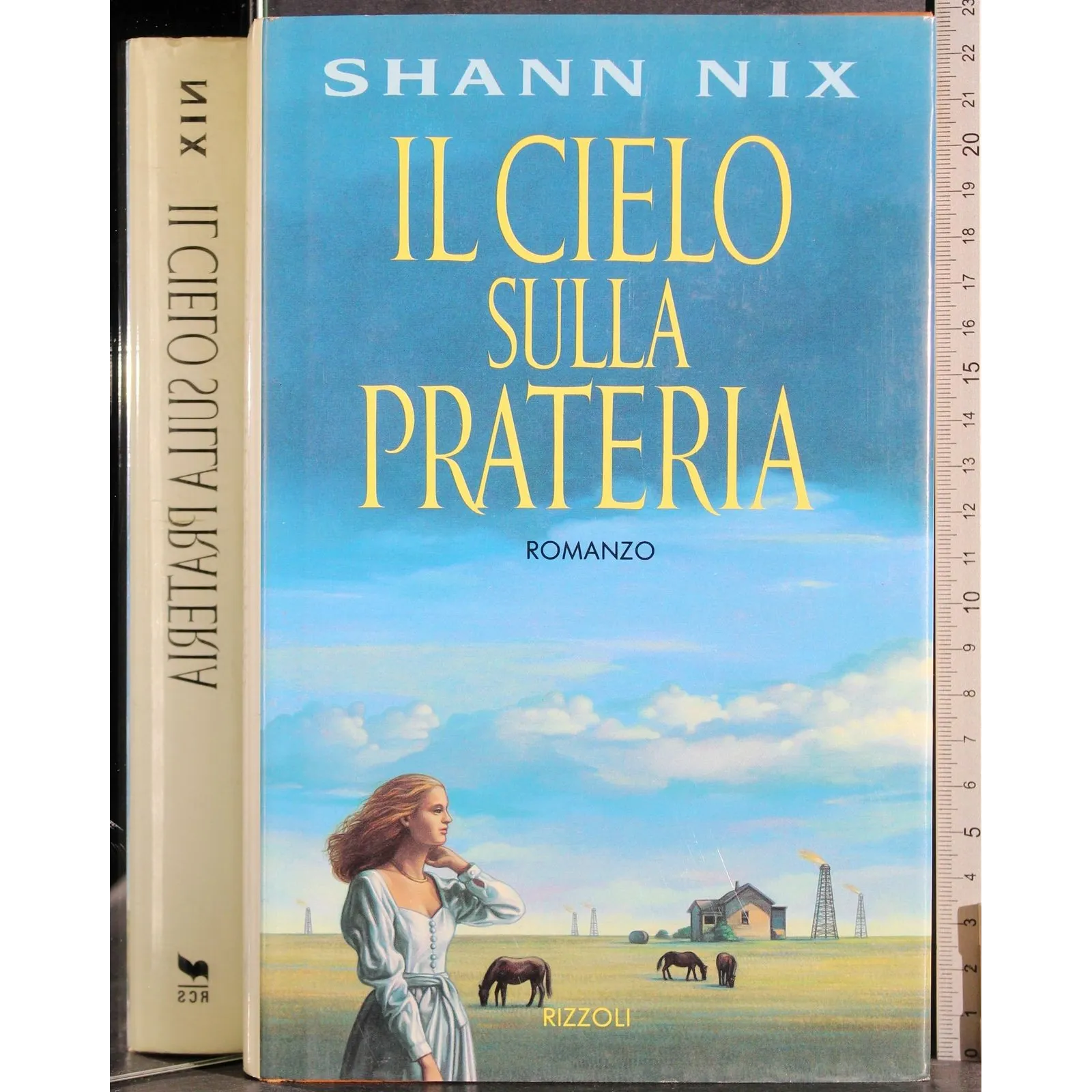 Il cielo sulla prateria