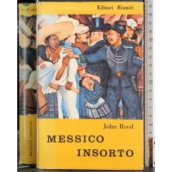 Messico insorto