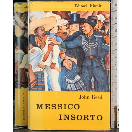 Messico insorto