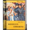 Messico insorto