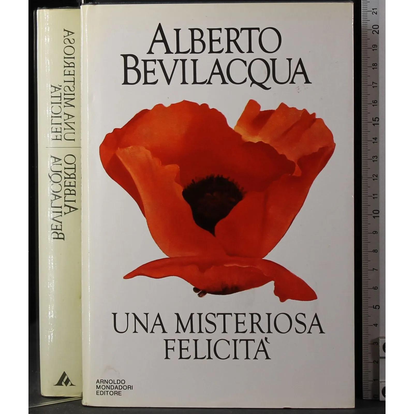 Una misteriosa felicità