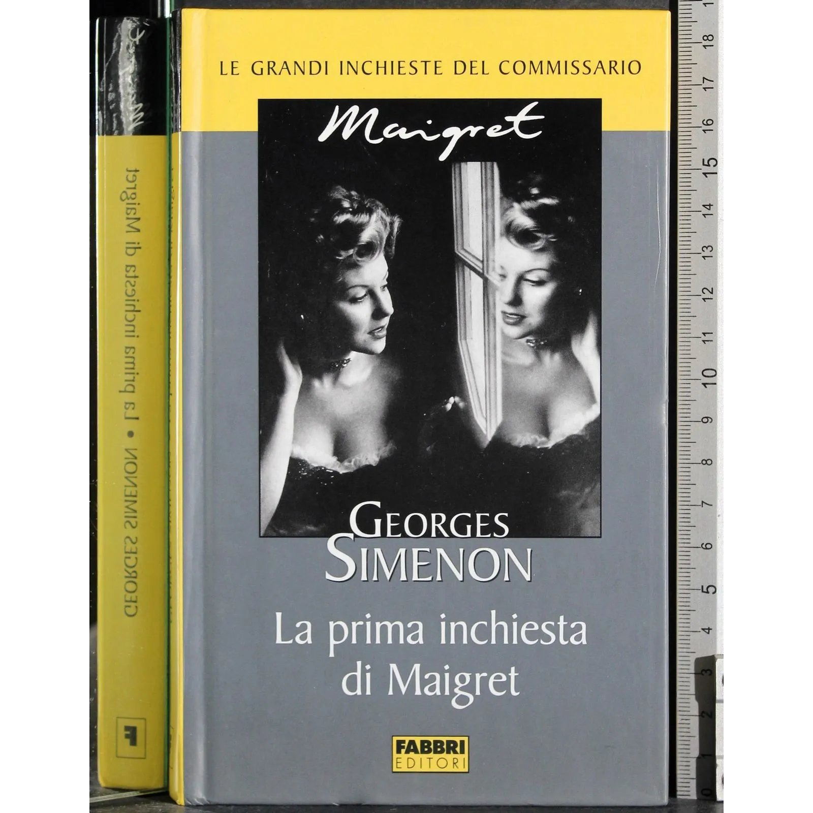 Le grandi inchieste Maigret. La prima inchiesta di Maigret