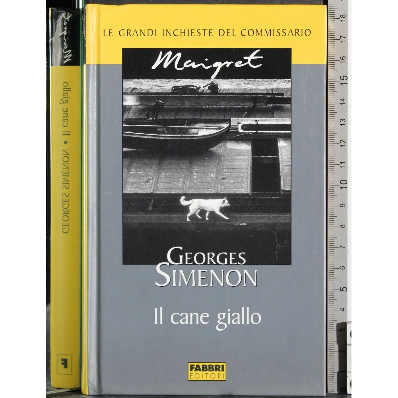 Le grandi inchieste Maigret. Il cane giallo