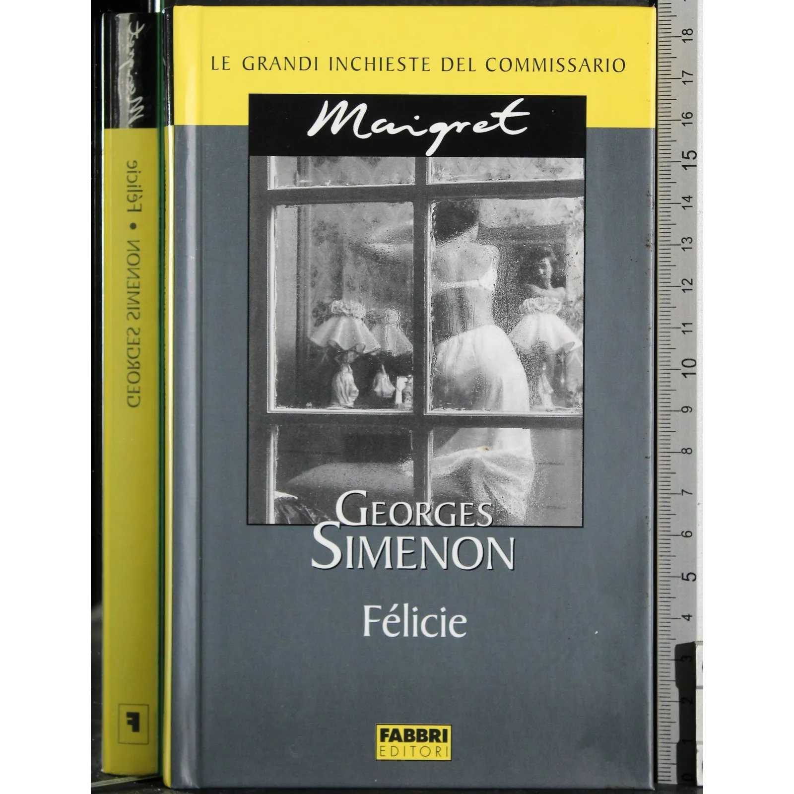 Le grandi inchieste Maigret. Félicie