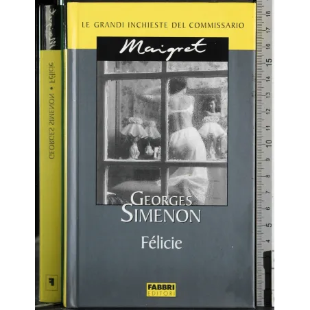 Le grandi inchieste Maigret. Félicie