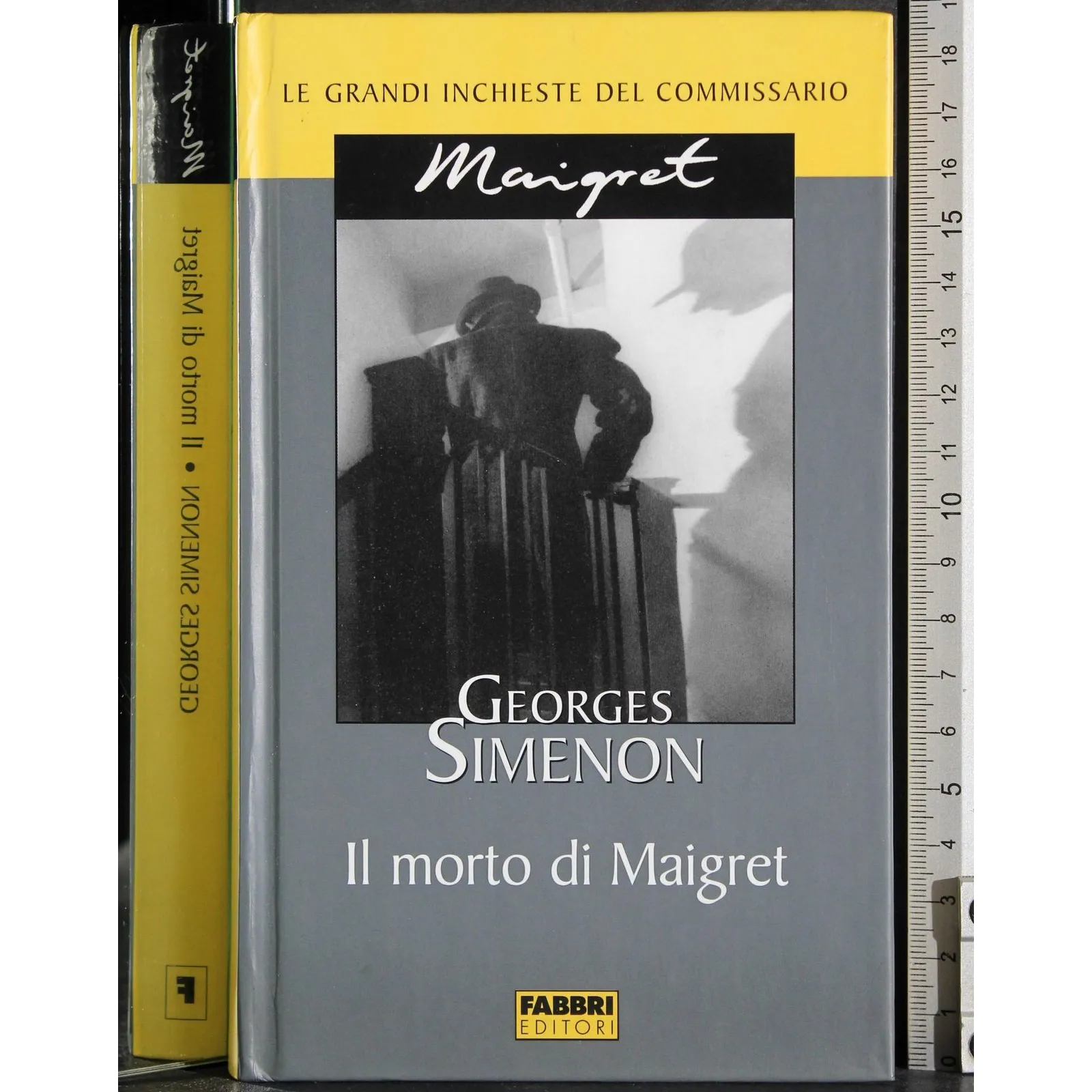 Le grandi inchieste Maigret. Il morto di Maigret