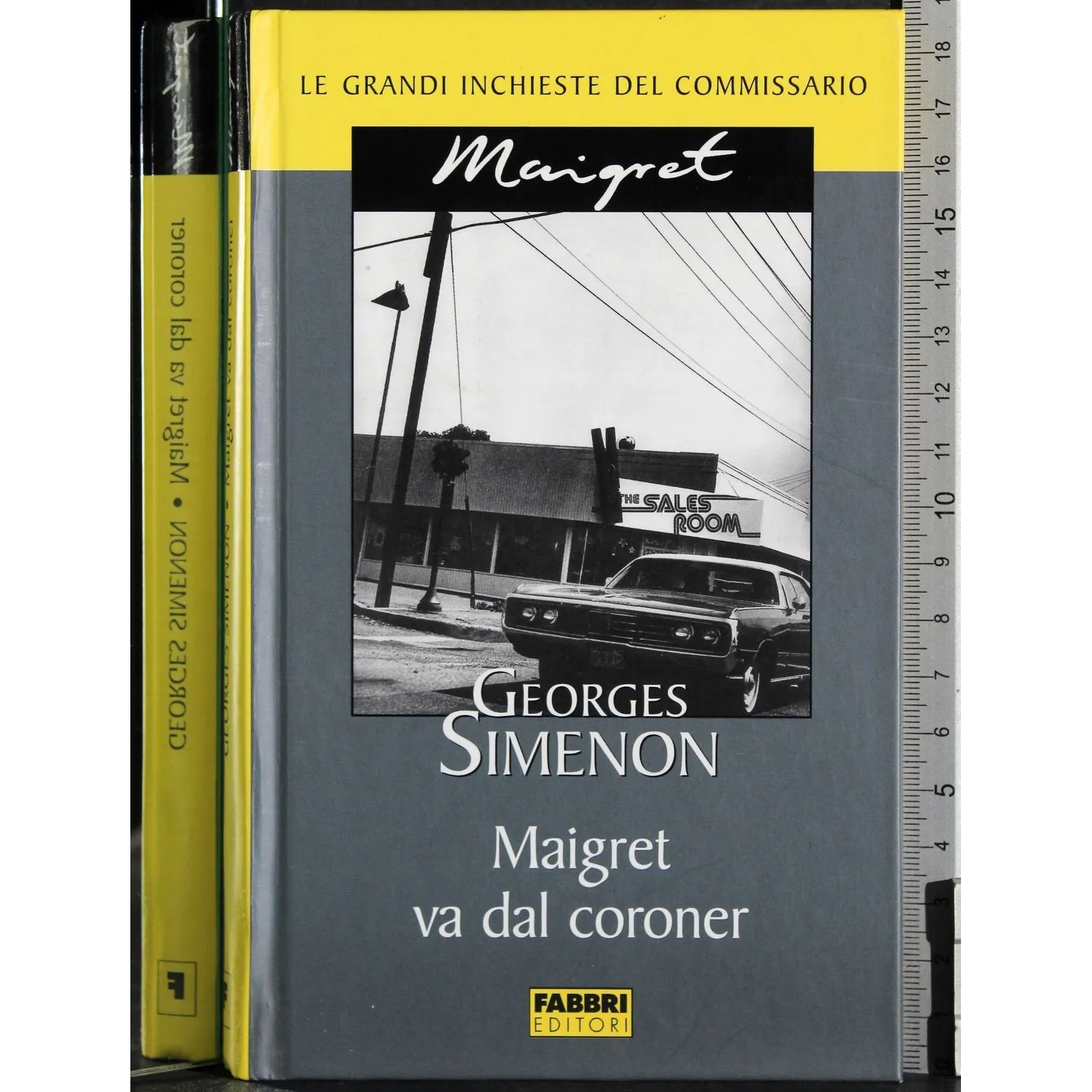 Le grandi inchieste Maigret. Maigret va dal coroner