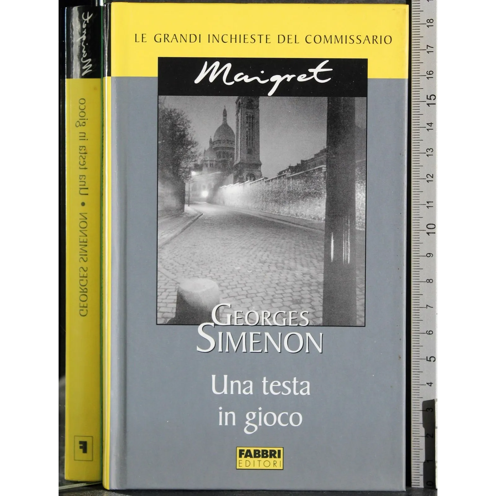 Le grandi inchieste Maigret. Una testa in gioco