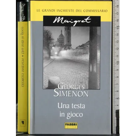 Le grandi inchieste Maigret. Una testa in gioco
