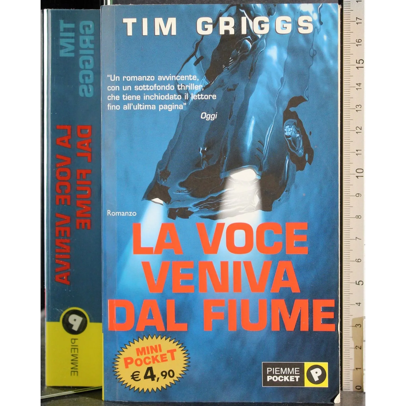 La voce veniva dal fiume