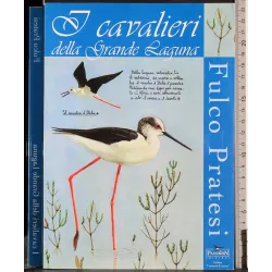 I cavalieri della Grande Laguna