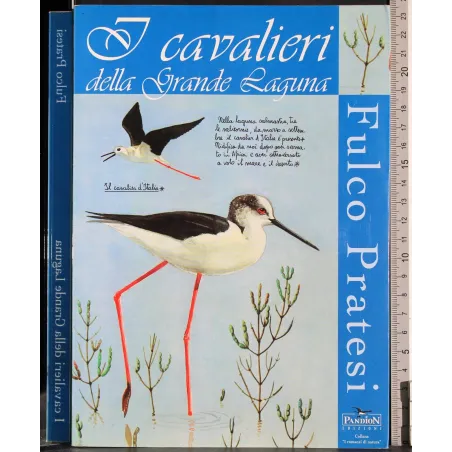 I cavalieri della Grande Laguna