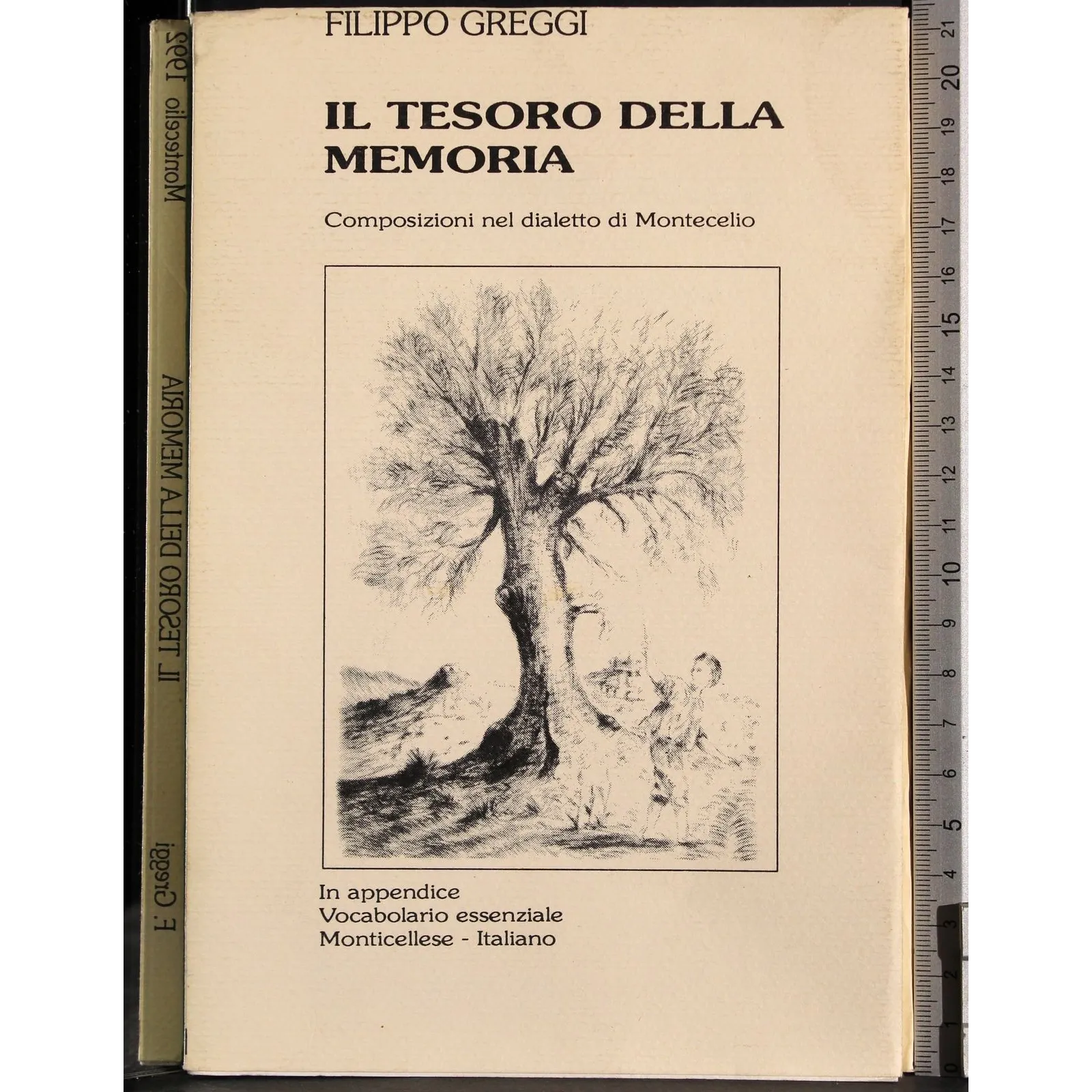 Il tesoro della memoria