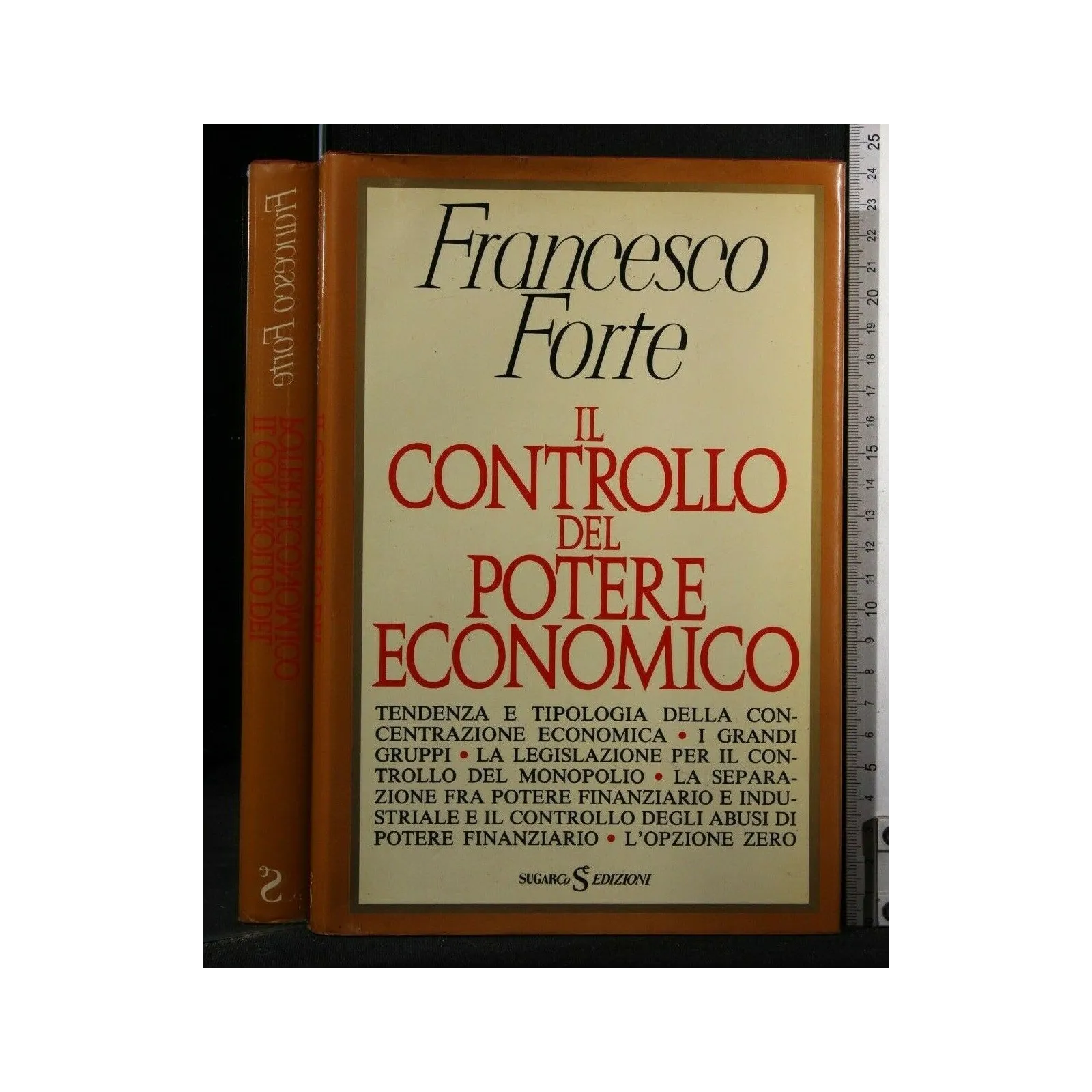 IL CONTROLLO DEL POTERE ECONOMICO