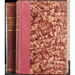 I misteri della Torre di Nesle. La strega