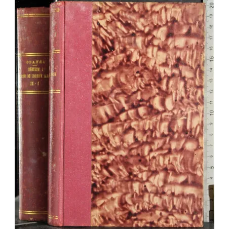 I misteri della Torre di Nesle. La strega