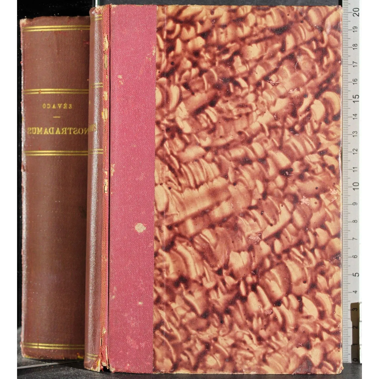 Nostradamus. Il Paltoniere