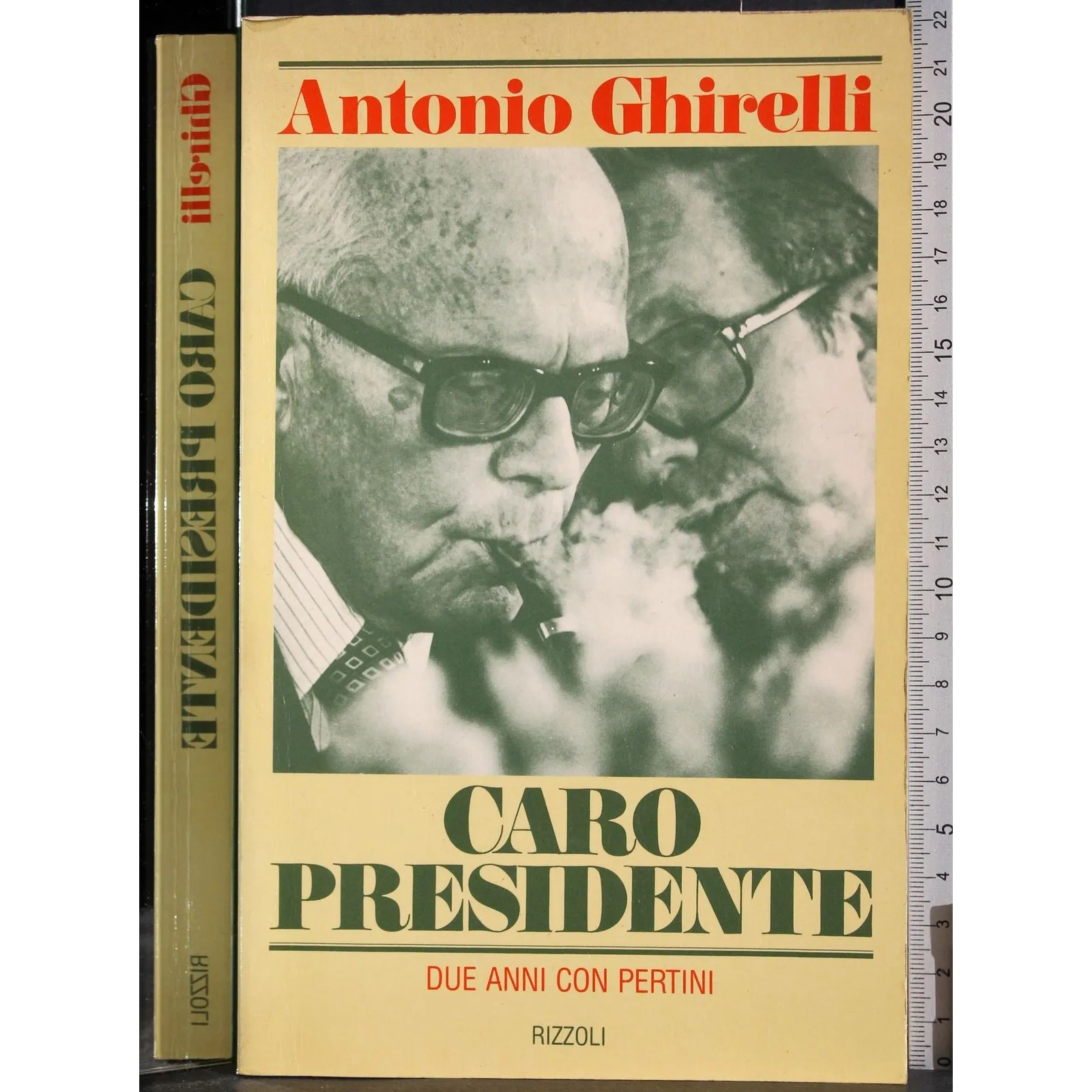 Caro presidente. Due anni con Pertini