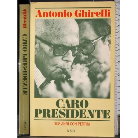 Caro presidente. Due anni con Pertini