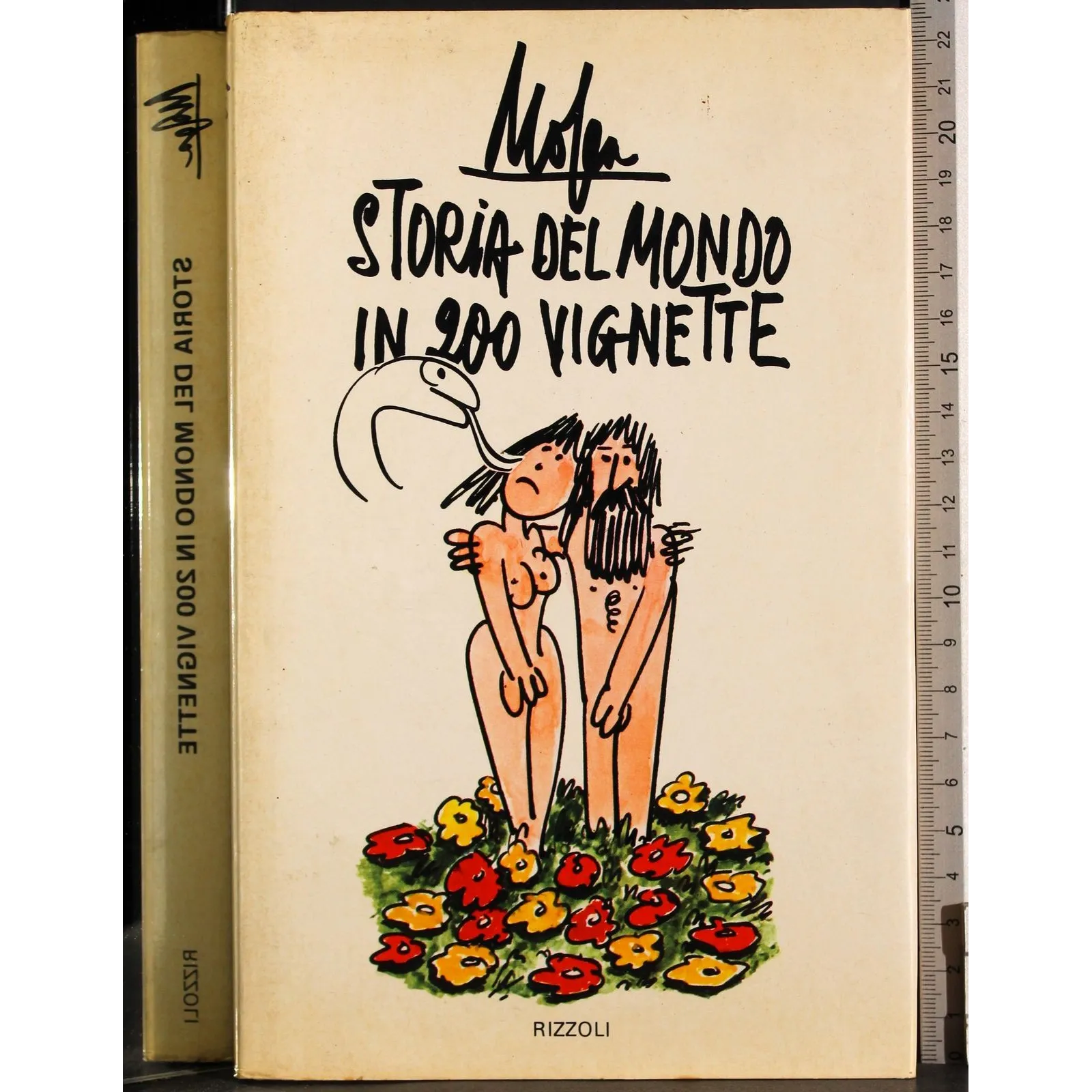 Storia del mondo in 200 vignette