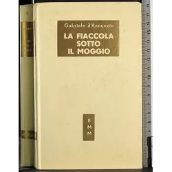 La fiaccola sotto il moggio