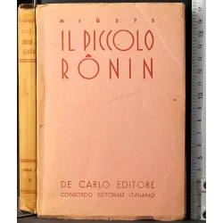 Il piccolo ronin