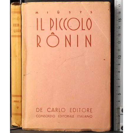 Il piccolo ronin