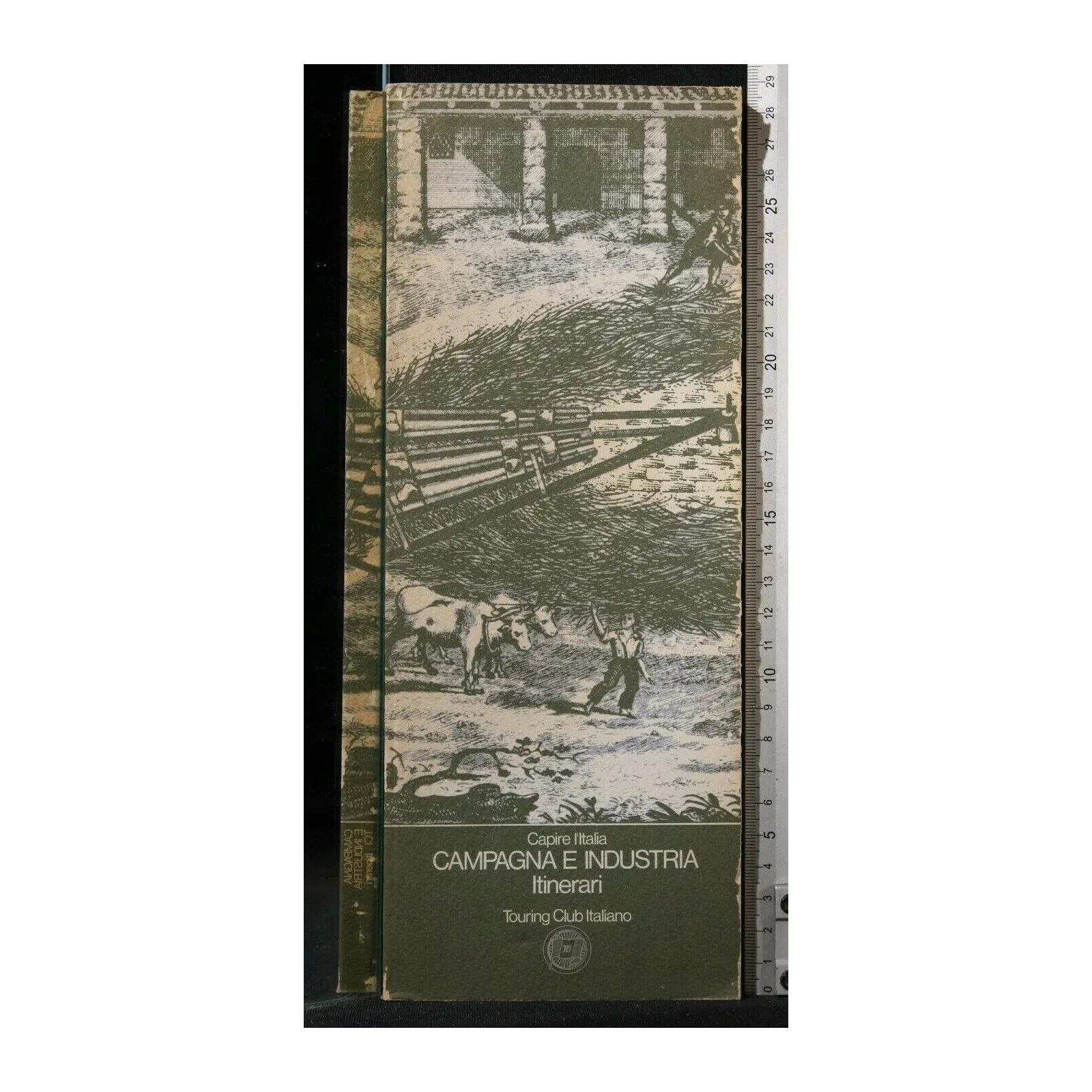 CAPIRE L'ITALIA ITINERARI CAMPAGNA E INDUSTRIA