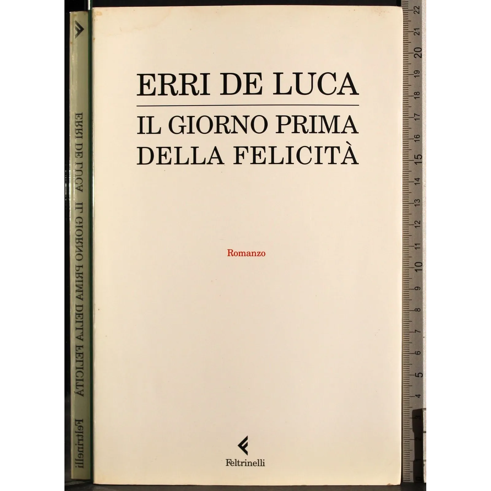 Il giorno prima della felicità