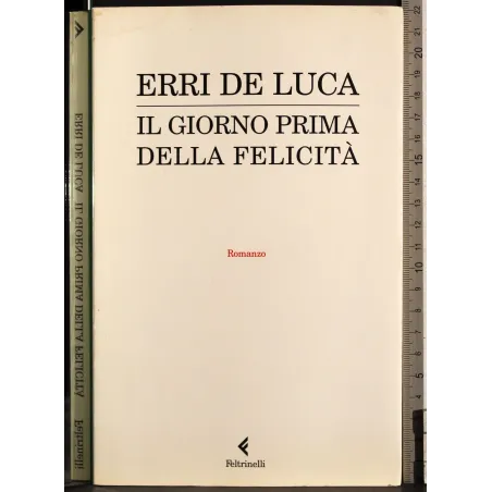 Il giorno prima della felicità