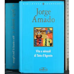 Vita e miracoli di Tieta d'Agreste