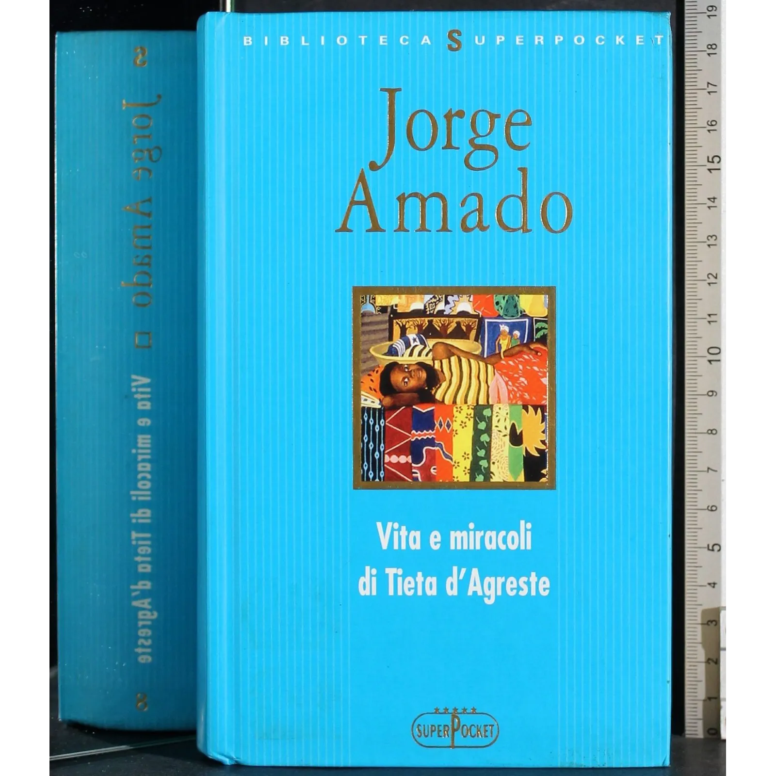 Vita e miracoli di Tieta d'Agreste