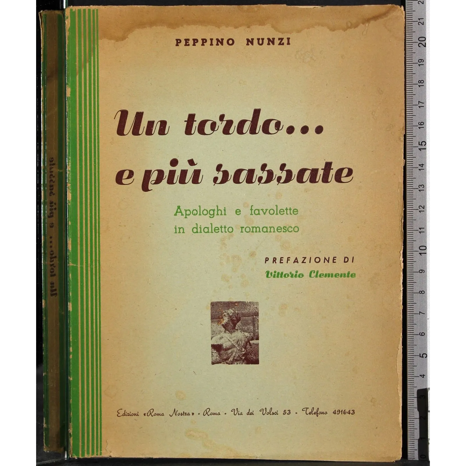 Un tordo… e più sassate
