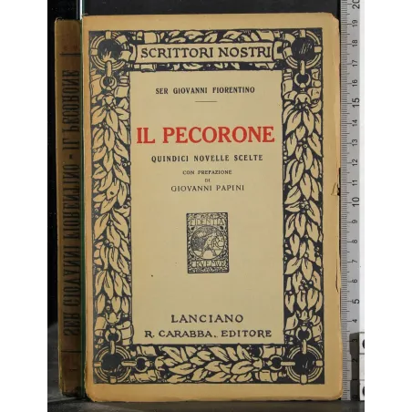Il pecorone. Quindici novelle scelte