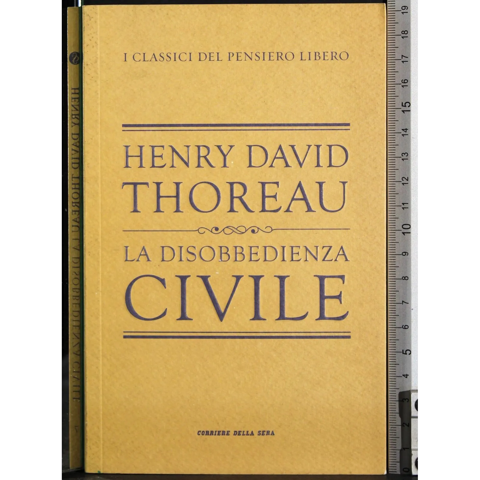 La disobbedienza civile
