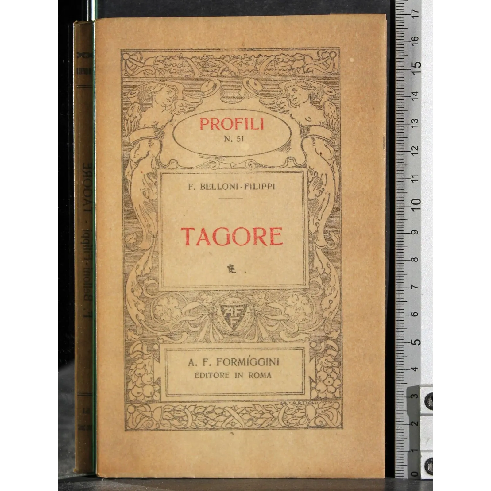 Profili 51. Tagore
