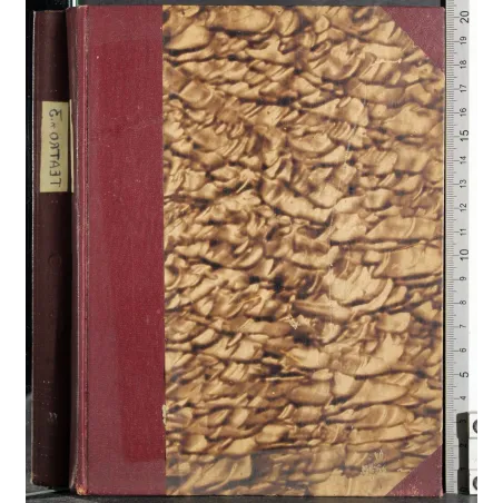 L'opera dei mendicanti