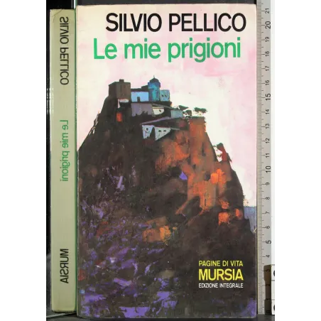 Le mie prigioni