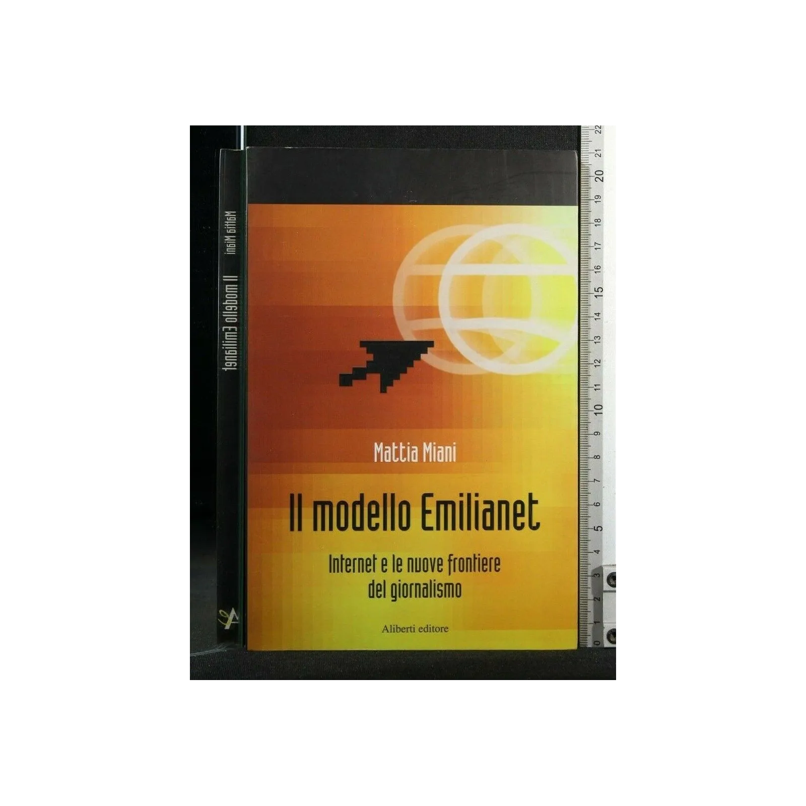 IL MODELLO EMILIANET