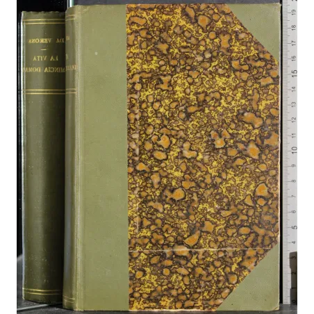 La vita comincia domani